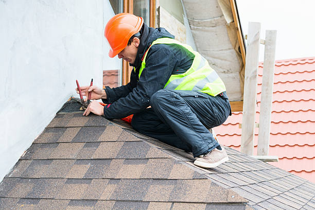 Best Roof Gutter Cleaning  in Arlington Heights, WA